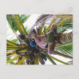 Tid för att rengöra kosnötarna vykort