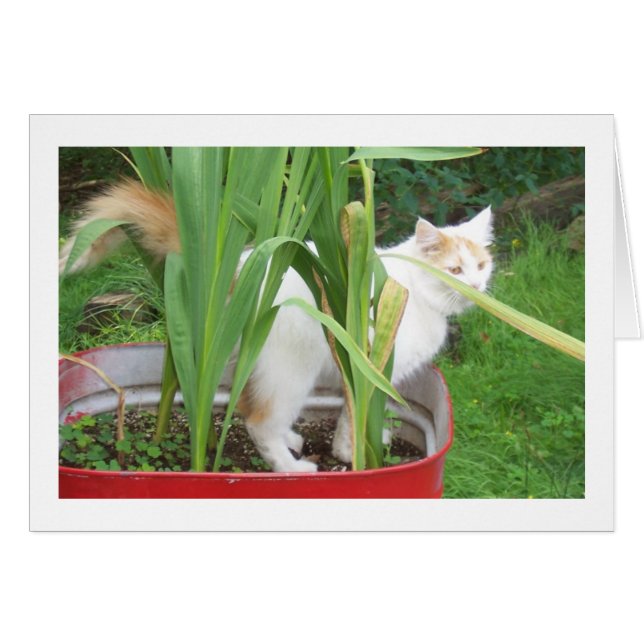 TID FÖR ATT SPELA DET ÄR "DIN BIRTHDAY" HÄLSNINGSKORT (Framsidan Horizontal)