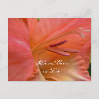 Tid för Elegant av Spara för lyxvaror Hibiscus Vår Meddelande Vykort