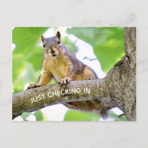 Tid för incheckning av vykort