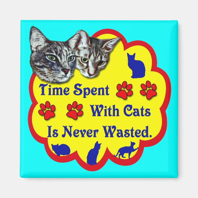Tid som tillbringats med katter magnet (Framsidan)