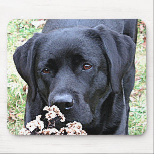 Tid - Svart lab - svart Labrador Musmatta
