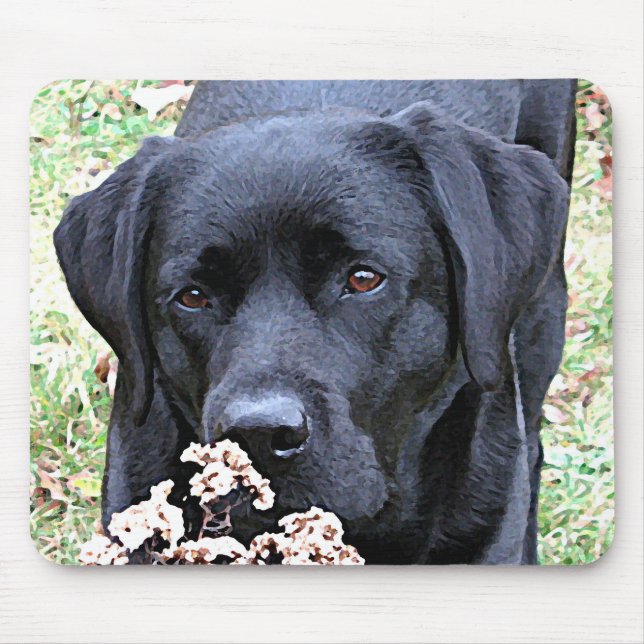 Tid - Svart lab - svart Labrador Musmatta (Framsidan)