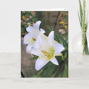 Tid till Bloom - vita Lillies Kort