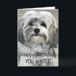 TID TILL CELEBRAT "21:a" BIRTHDAG Kort<br><div class="desc">Om du tycker om den här CUTE-VALPEN kan du se dig omkring efter FLER BIRTHDAYS och andra LYCKLIG TIMER som vi firar med säkerhet:) OCH GLÖMMA INTE ATT DU KAN ÄNDRA "ÅLDERN" OCH "VERSE" PÅ ALLA KORT PÅ ALLA NIO AV MINA LAGRINGAR I EN MINUTSÄTTNING! TACK FÖR ATT STOPPA AV!...</div>