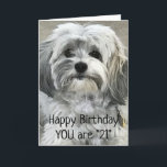 TID TILL CELEBRAT "21:a" BIRTHDAG Kort<br><div class="desc">Om du tycker om den här CUTE-VALPEN kan du se dig omkring efter FLER BIRTHDAYS och andra LYCKLIG TIMER som vi firar med säkerhet:) OCH GLÖMMA INTE ATT DU KAN ÄNDRA "ÅLDERN" OCH "VERSE" PÅ ALLA KORT PÅ ALLA NIO AV MINA LAGRINGAR I EN MINUTSÄTTNING! TACK FÖR ATT STOPPA AV!...</div>