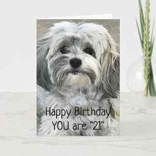 TID TILL CELEBRAT "21:a" BIRTHDAG Kort