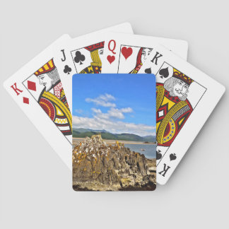 TIDAL FLOD CASINOKORT