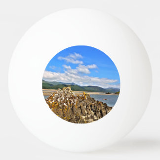 TIDAL FLOD PINGISBOLL