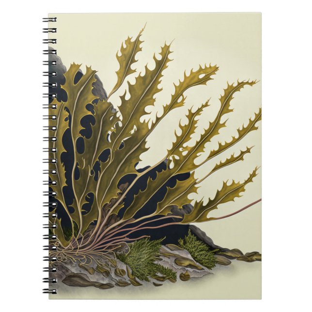 Tidal Fronds Anteckningsbok (Framsidan)
