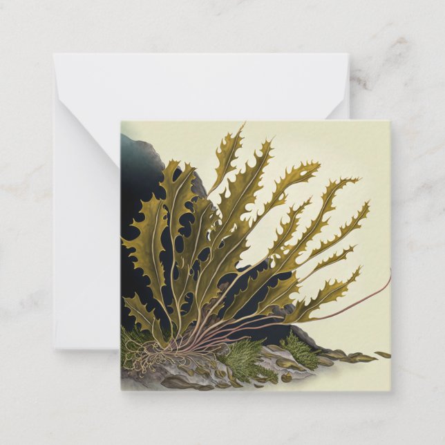 Tidal Fronds Anteckningskort (Framsida)