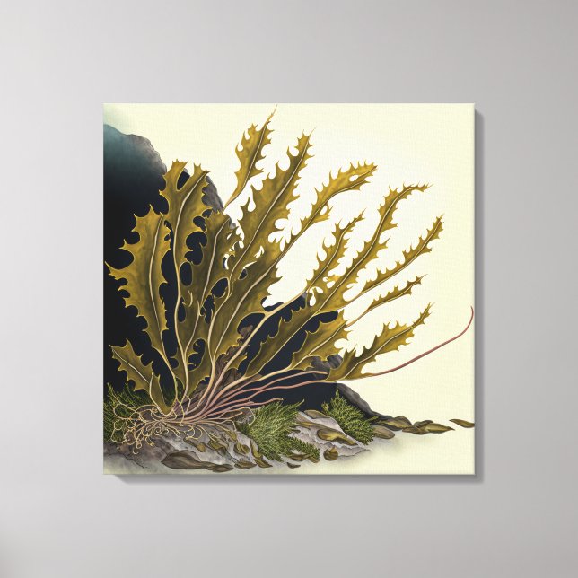 Tidal Fronds Canvastryck (Framsida)