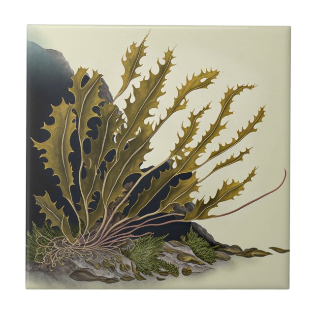 Tidal Fronds Kakelplatta (Framsidan)