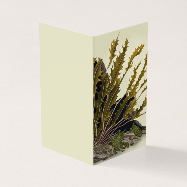 Tidal Fronds Kort (Utsida)