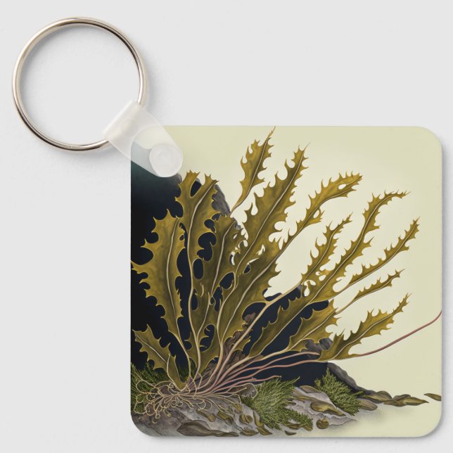 Tidal Fronds Nyckelring (Framsida)
