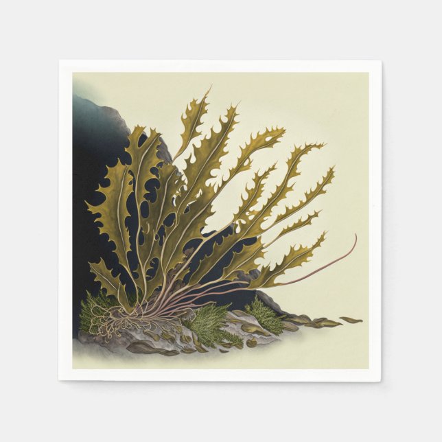 Tidal Fronds Pappersservett (Framsidan)