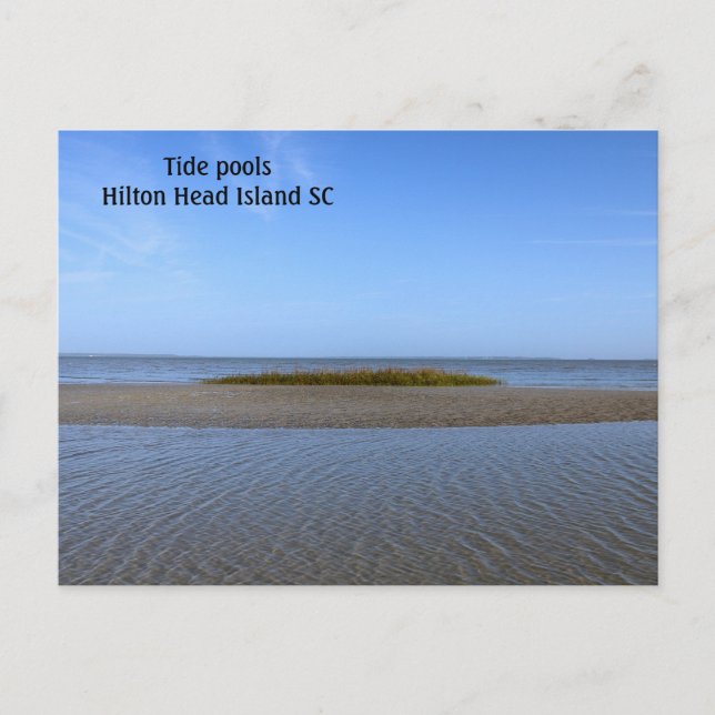 Tide Bassäng South Carolina Vykort (Framsida)