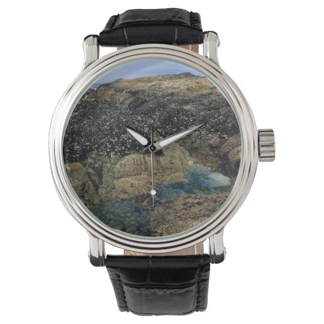 Tide Bassäng vid Bob Bäck, ELLER Armbandsur (Framsida)