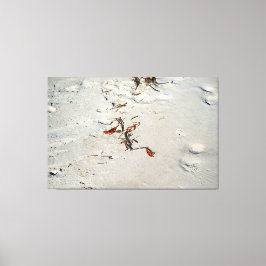 Tideline Calligraphy Canvastryck