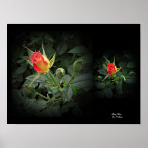 Tidely Winks Miniature Ro Wall Art by Stan VG Poster