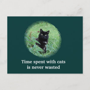 Tiden Spent Med Katter Är Aldrig Slösad Postkort Vykort