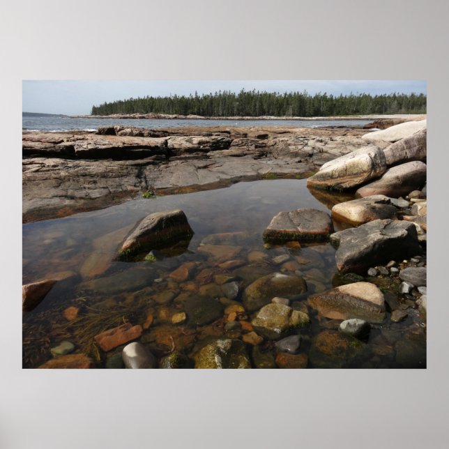 Tidepool i Wonderland i Acadia nationalpark Poster (Framsidan)