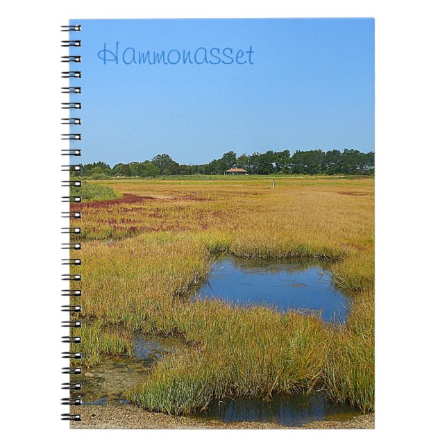 Tidepool Marsh Notebook Anteckningsbok (Framsidan)
