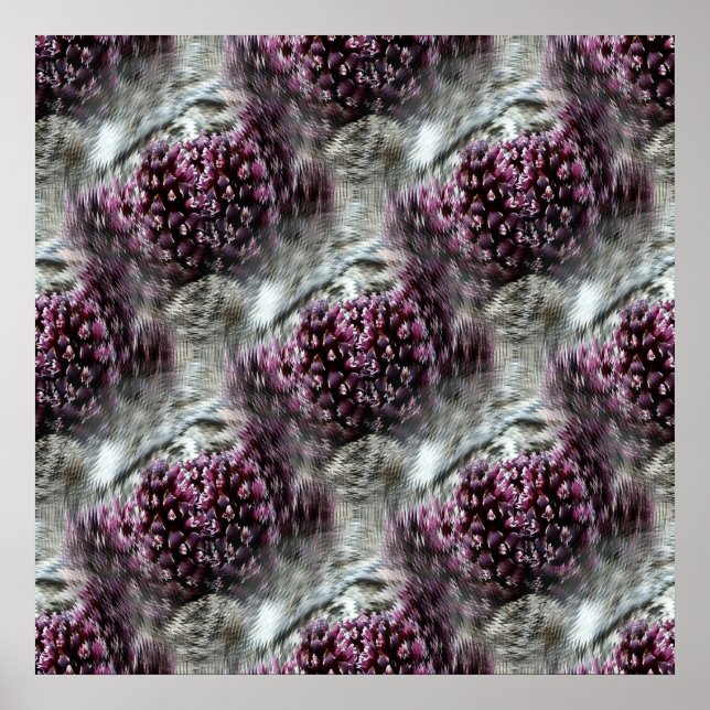 Tidepooler... Poster (Framsidan)