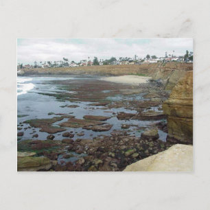 Tidepools Ocean Beach Cliffs Vykort