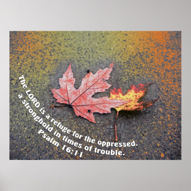 Tider av problem poster (Framsidan)