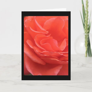 Tider för Peach Ro Flower Photo Greeting Card Kort