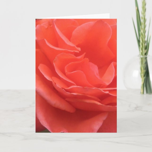 Tider för Peach Ro Flower Photo Greeting Card Kort (Framsida)