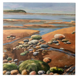 Tides ut från kuststranden vid kusten vid havet kakelplatta