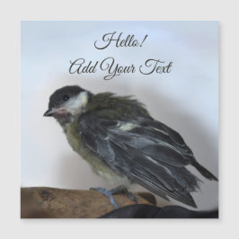 Tidi min fågel Parus Major Magnetic Card