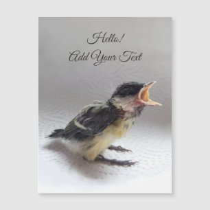 Tidi min fågel Parus Major Magnetic Card