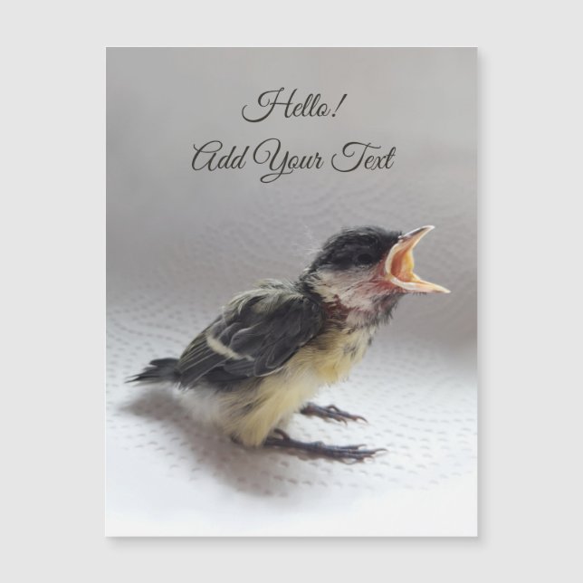 Tidi min fågel Parus Major Magnetic Card (Framsida)