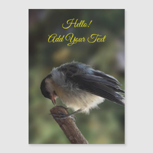 Tidi min fågel Parus Major Magnetic Card
