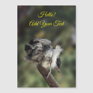 Tidi min fågel Parus Major Magnetic Card