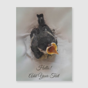 Tidi min fågel Parus Major Magnetic Card