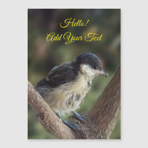 Tidi min fågel Parus Major Magnetic Card