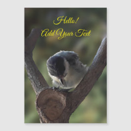 Tidi min fågel Parus Major Magnetic Card