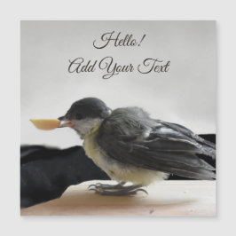Tidi min fågel Parus Major Magnetic Card