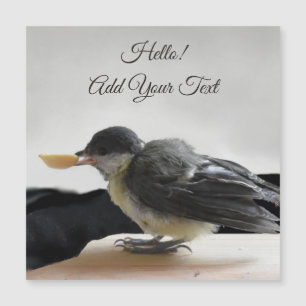 Tidi min fågel Parus Major Magnetic Card