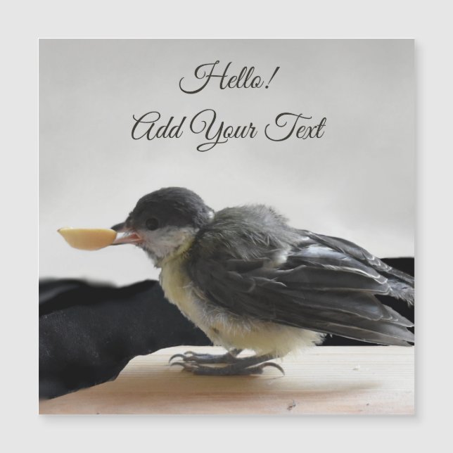 Tidi min fågel Parus Major Magnetic Card (Framsida)