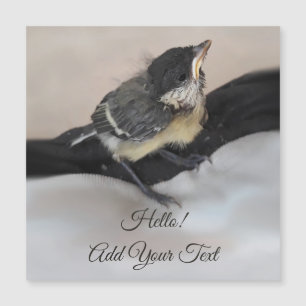 Tidi min fågel Parus Major Magnetic Card