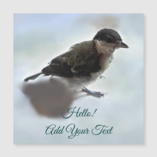 Tidi min fågel Parus Major Magnetic Card