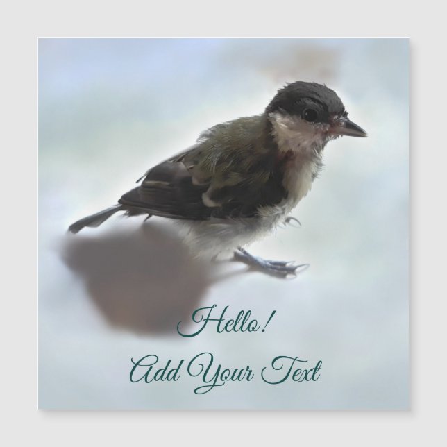Tidi min fågel Parus Major Magnetic Card (Framsida)