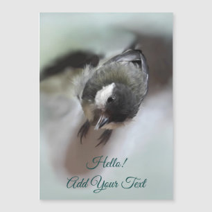 Tidi min fågel Parus Major Magnetic Card