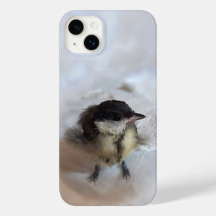 Tidi my Bird the Parus Major