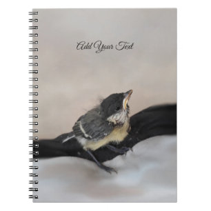 Tidi my Bird the Parus Major Anteckningsbok